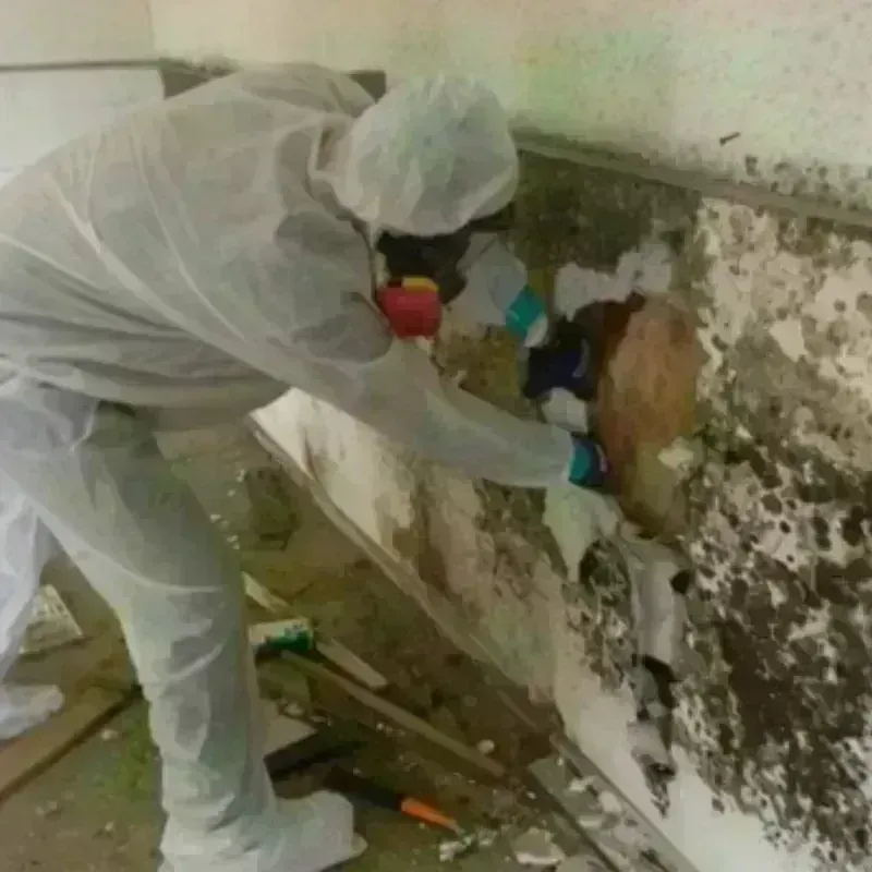 Mold Remediation and Removal in Crystal Falls, MI