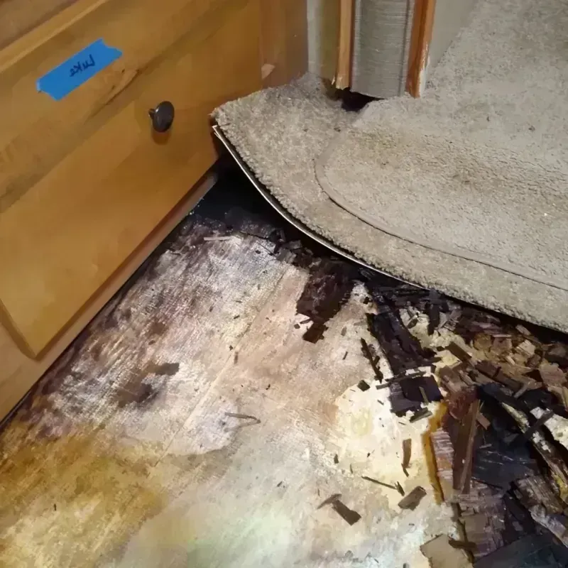 Wood Floor Water Damage in Crystal Falls, MI